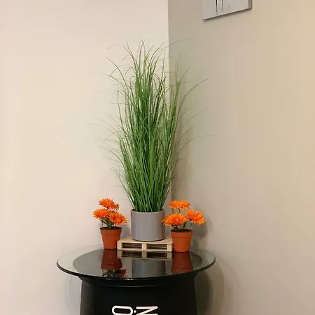 Apartment Mequedo En Castelseras